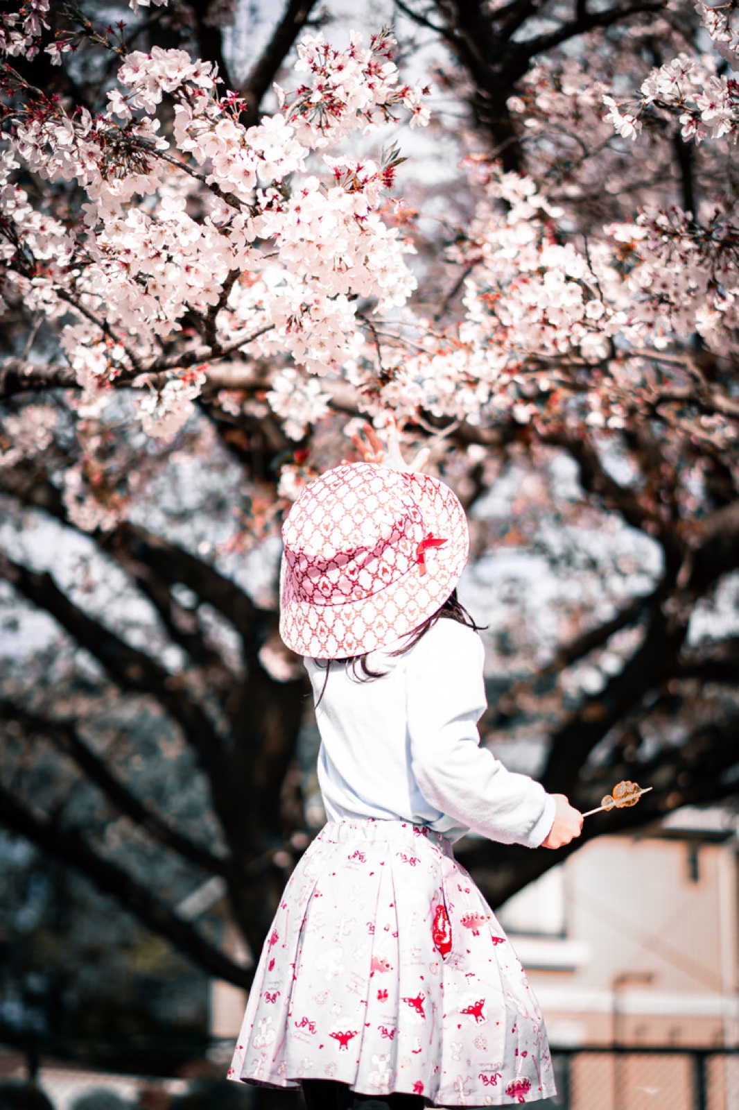 桜の花の下で帽子をかぶった子どもが立つ春の風景